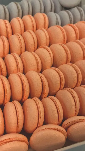 Rows of peach macarons